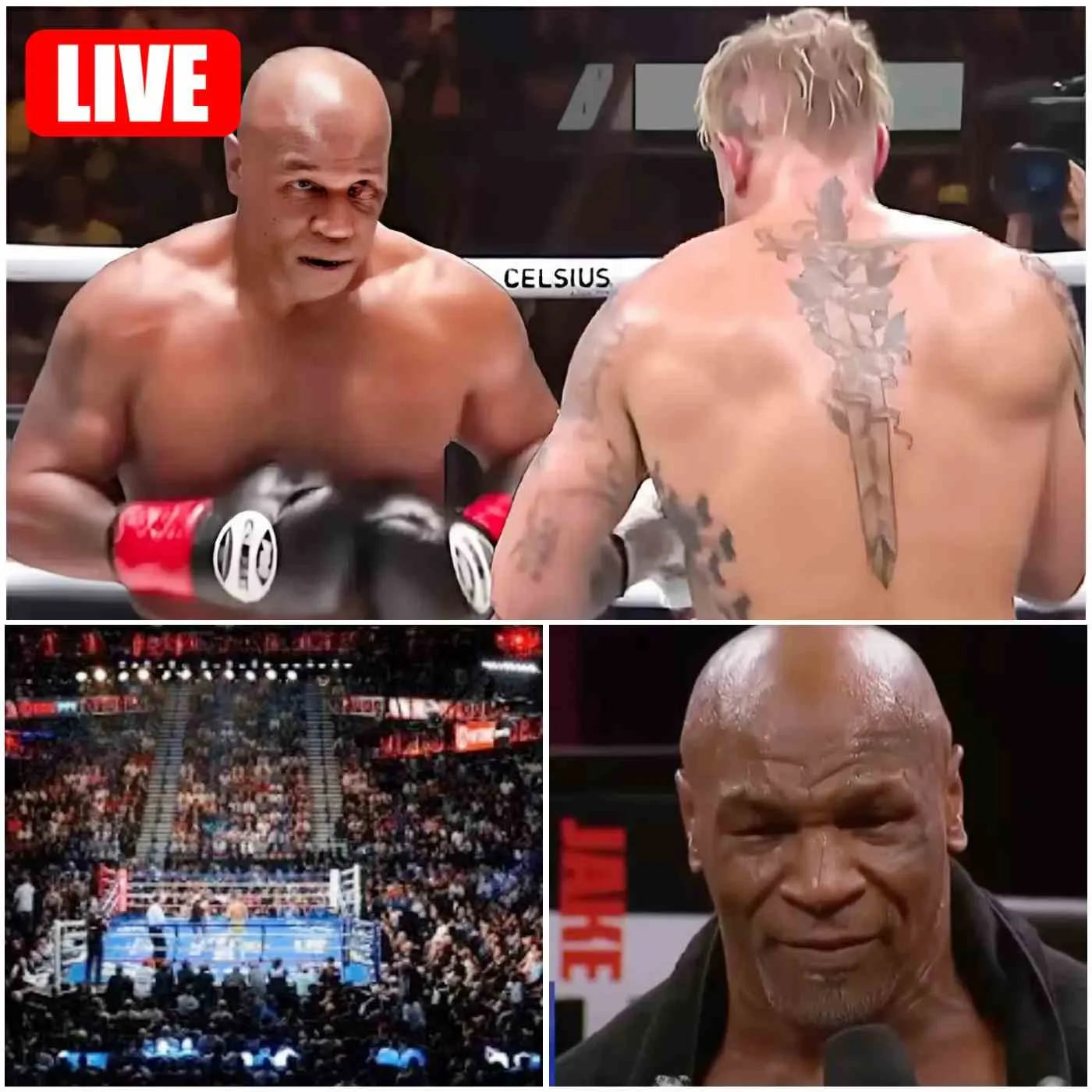 🔴 LIVE Mike Tyson vs Jake Paul Live Stream Paul vs Tyson Full Fight 2024 live Luxury Blog