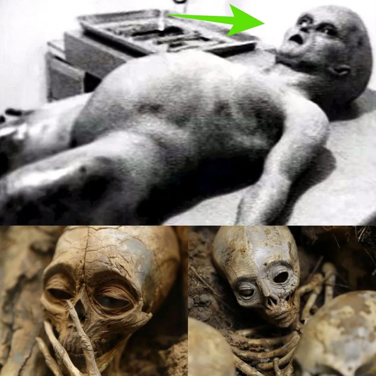 Cover Image for 💀💀Último momento: resulta inquietante encontrar el cuerpo intacto de un extraterrestre de cabeza grande de dos millones de años dentro de una pirámide egipcia.