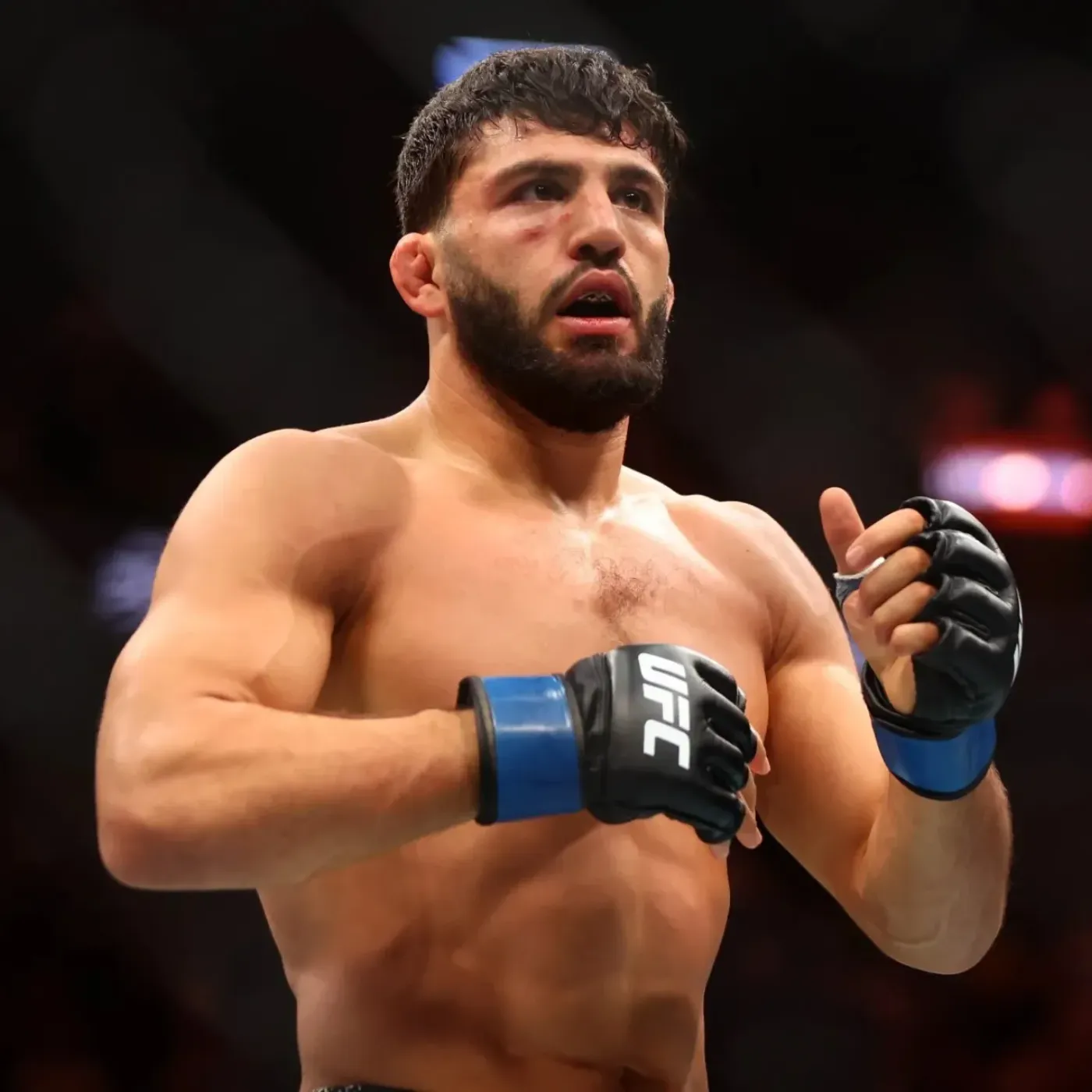 image_6771f69be0d44 Lightweight Star Unveils Arman Tsarukyan’s Secret Weapon to Crush Islam Makhachev at UFC 311!