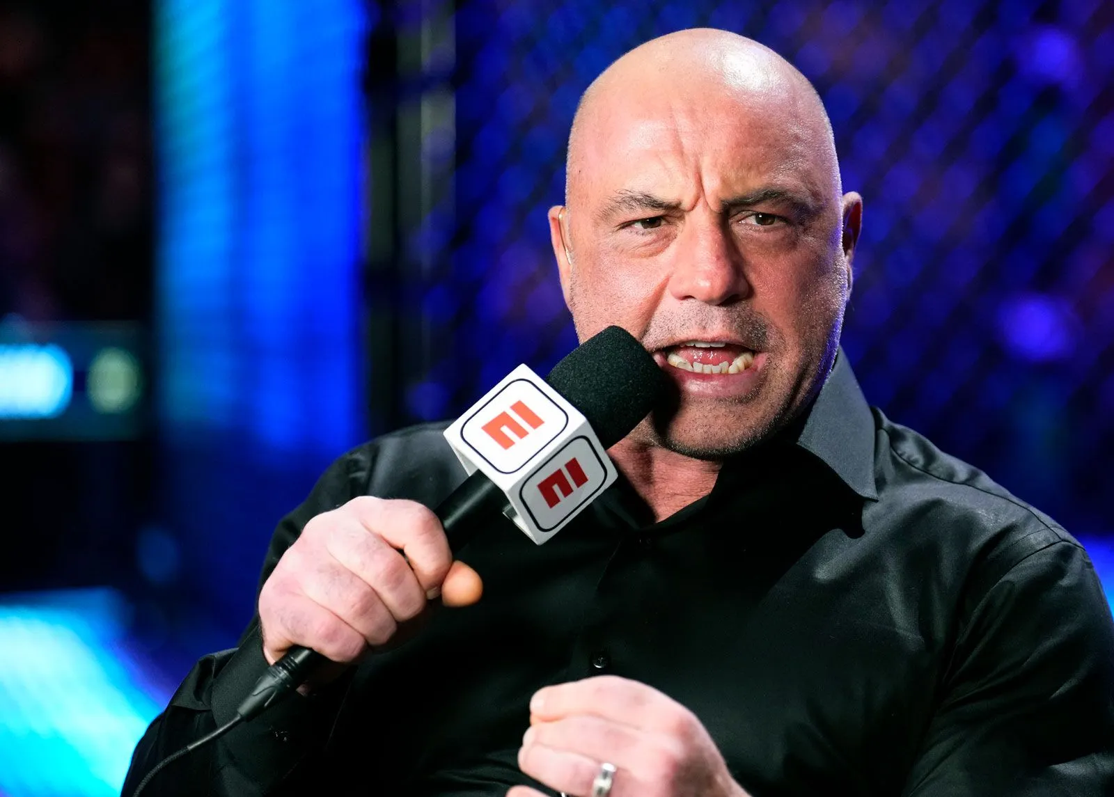 Joe Rogan | Biography, Childhood, Taekwondo, Fear Factor, UFC, Experience and Facts about Joe Rogan | Britannica