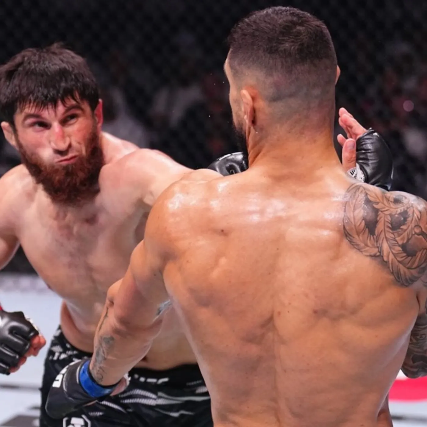 UFC 313 Explodes: Ankalaev Shocks Fans by Calling Pereira 'Just a Bug' on His Road to the Throne!