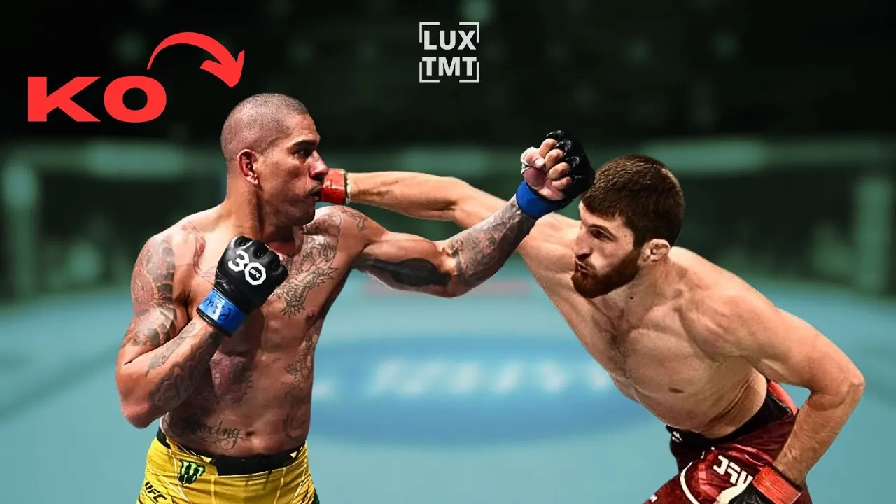 Alex Pereira vs Magomed Ankalaev Full Fight Highlights | Pereira is KO'd in 2nd round SPOILER ALERT!