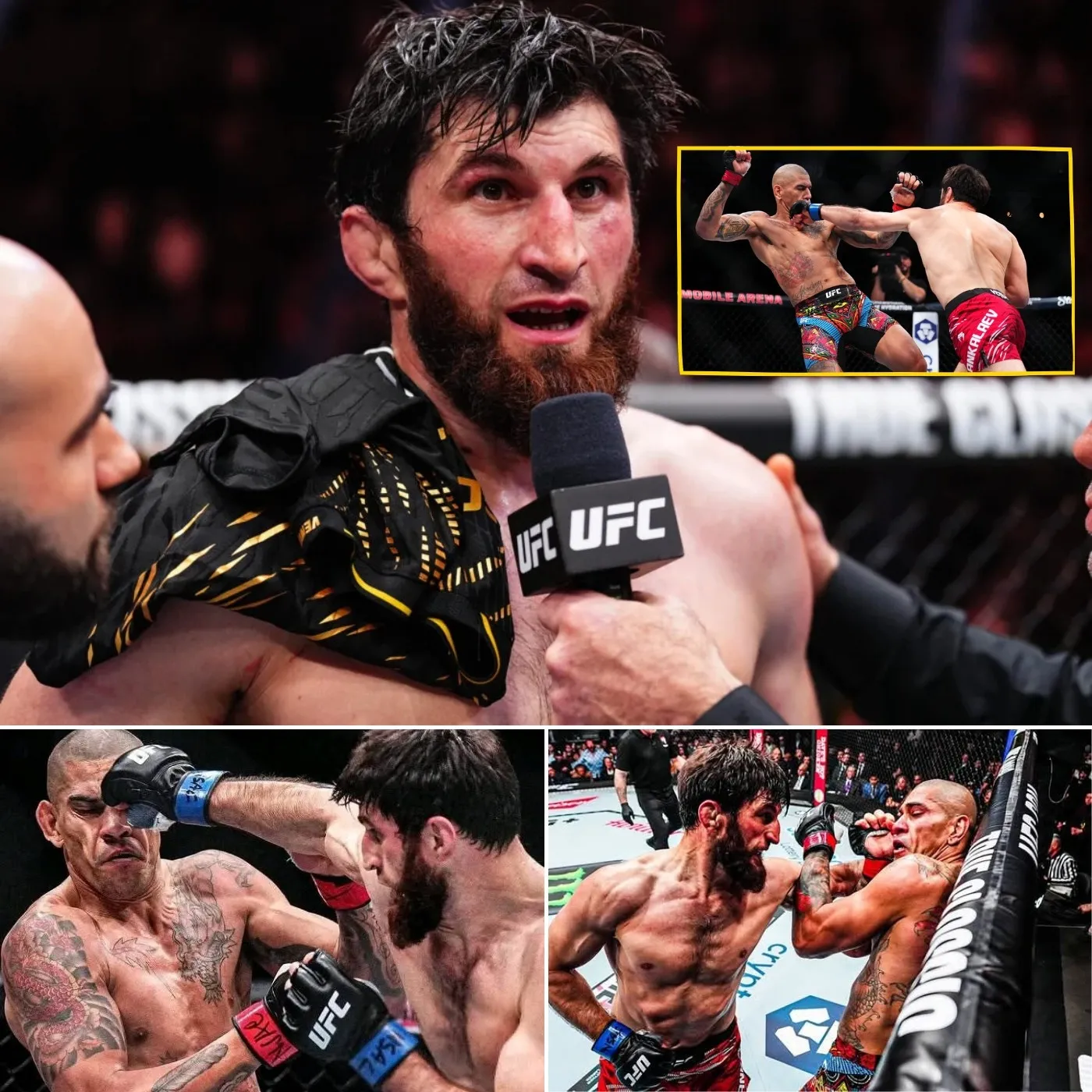 Cover Image for “Running Like a Coward!” – Ankalaev Mocks Alex Pereira’s Boring Fighting Style!