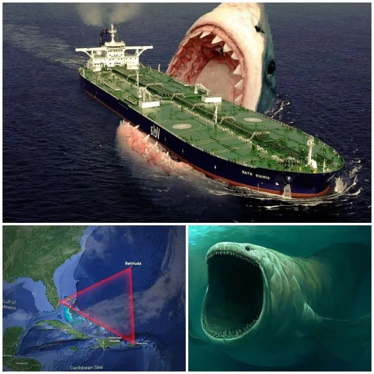 Cover Image for 🌊🛳️ Terreur dans le Triangle des Bermudes : un monstre légendaire refait surface et attaque des navires — la réalité dépasse la fiction