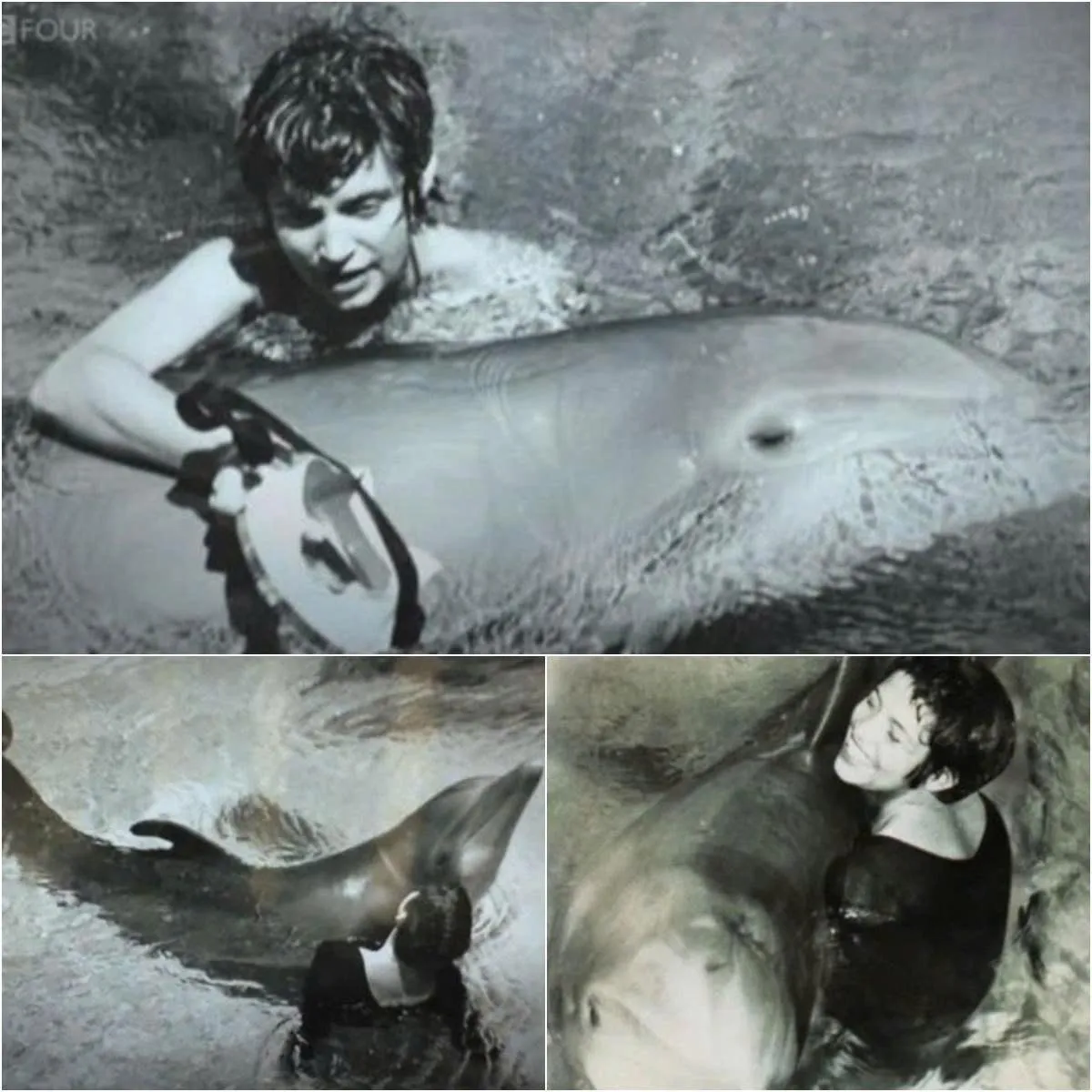 Cover Image for L’histoire d’amour troublante entre un dauphin et une jeune femme : leur relation sexuelle s’est terminée avec des conséquences dévastatrices !
