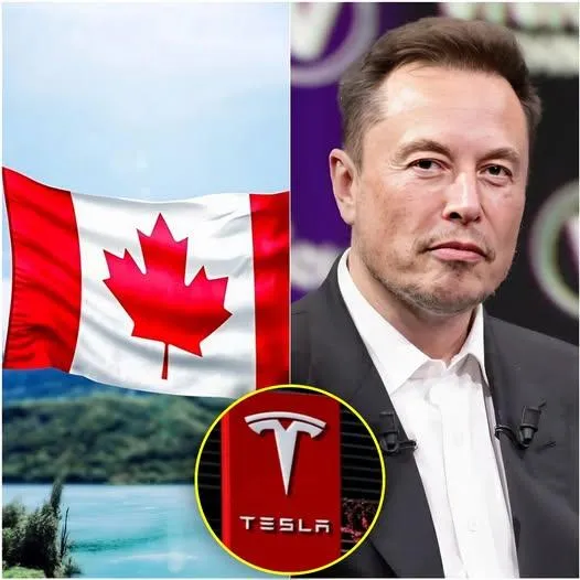 Cover Image for ULTIMA ORA: Elon Musk risponde con uno scioccante messaggio di 9 parole, rivelando una verità nascosta che sta sbalordendo il mondo intero.