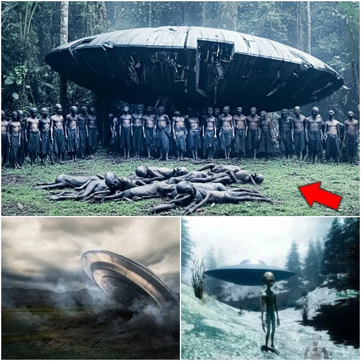 Cover Image for Révélation de vérités étonnantes : les secrets d’une conspiration extraterrestre cachée révélés