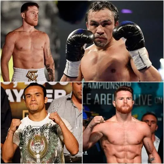 Cover Image for 🔥 “¡Pelearía contigo!” — Canelo rompe el silencio y lanza un desafío histórico a Márquez con una promesa que sacude al mundo del boxeo: “Si pierdo contigo, me retiro para siempre”. 😱 El campeón mexicano responde a las provocaciones de Juan Manuel Márquez con una declaración contundente, asegurando que esta vez no habrá excusas ni límites — “No soy Pacquiao… te voy a noquear”.