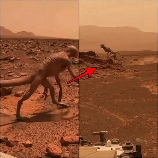 Cover Image for 🌎 Incredibile scoperta su Marte: una sonda robotica filma una strana creatura – Gli scienziati confermano la vita sul Pianeta Rosso