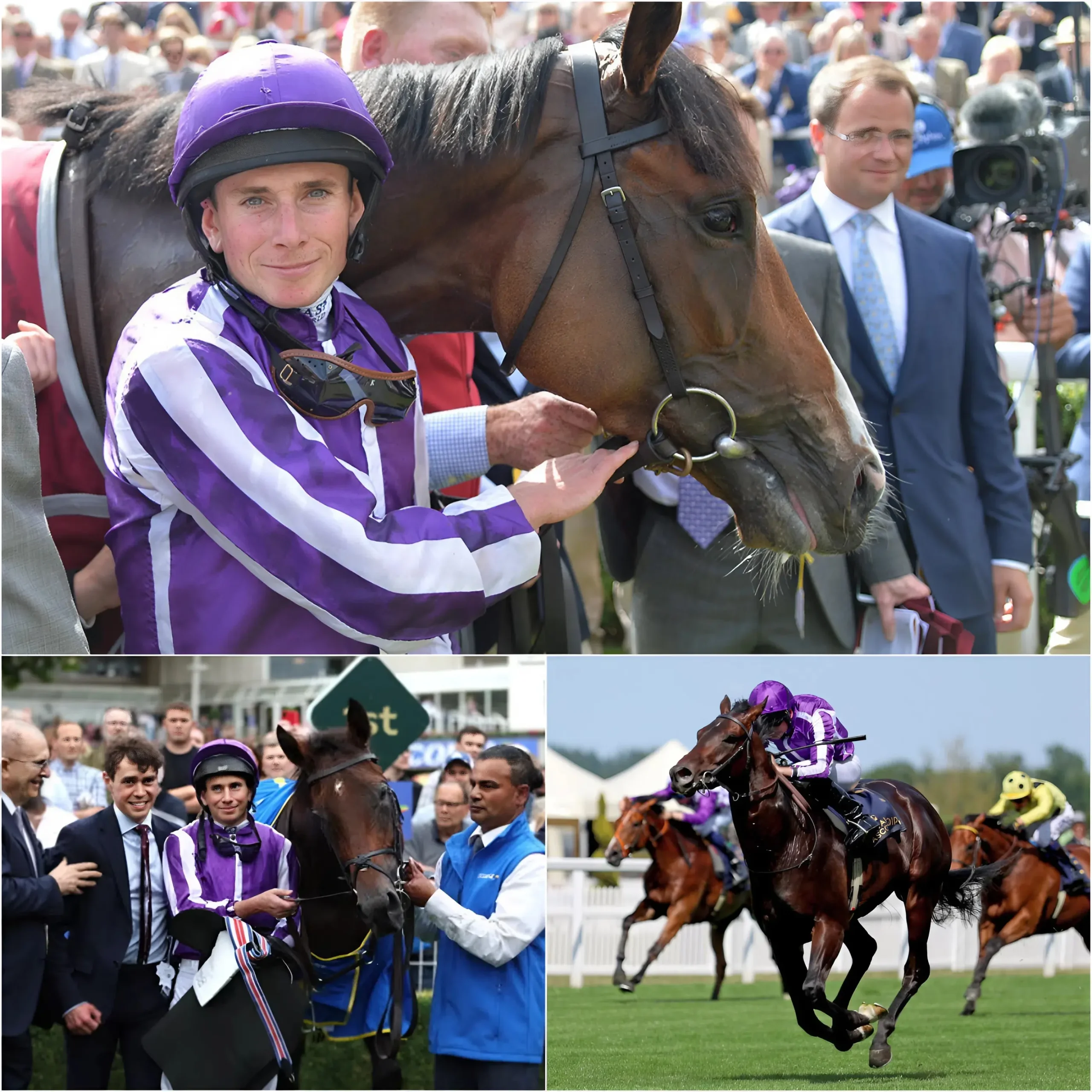 Cover Image for 🔥 SHOCKER: “This is the most talented mystery horse of my career,” exclaimed Ryan Moore, speaking of Ballydoyle’s enigmatic colt—a horse that, after just a single start, was immediately touted as a potential contender for Royal Ascot, sparking a massive debate as the unexpected name took the racing world completely by surprise…