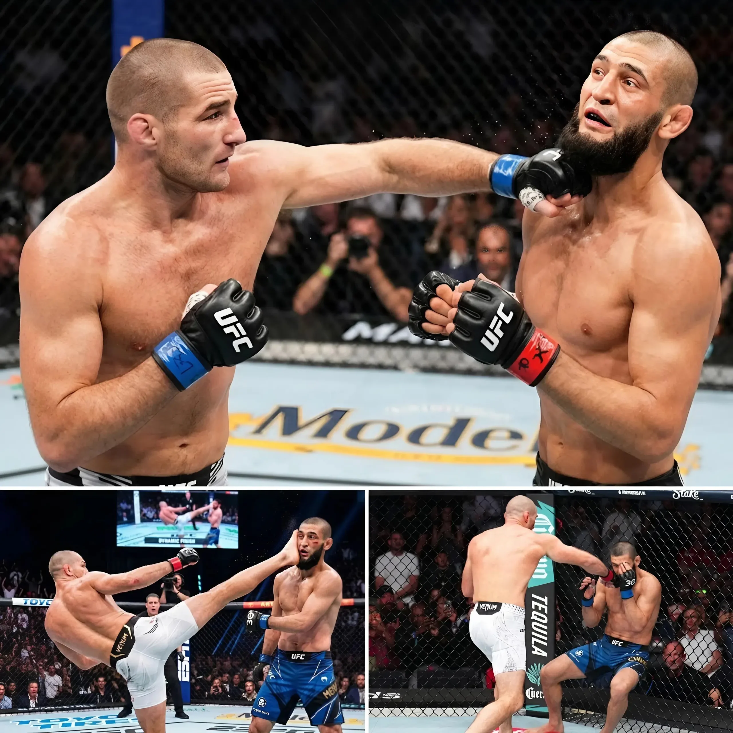 Cover Image for 🚨 UFC EXPLOSION: “The wolf didn’t lose… It was completely wiped out.” —