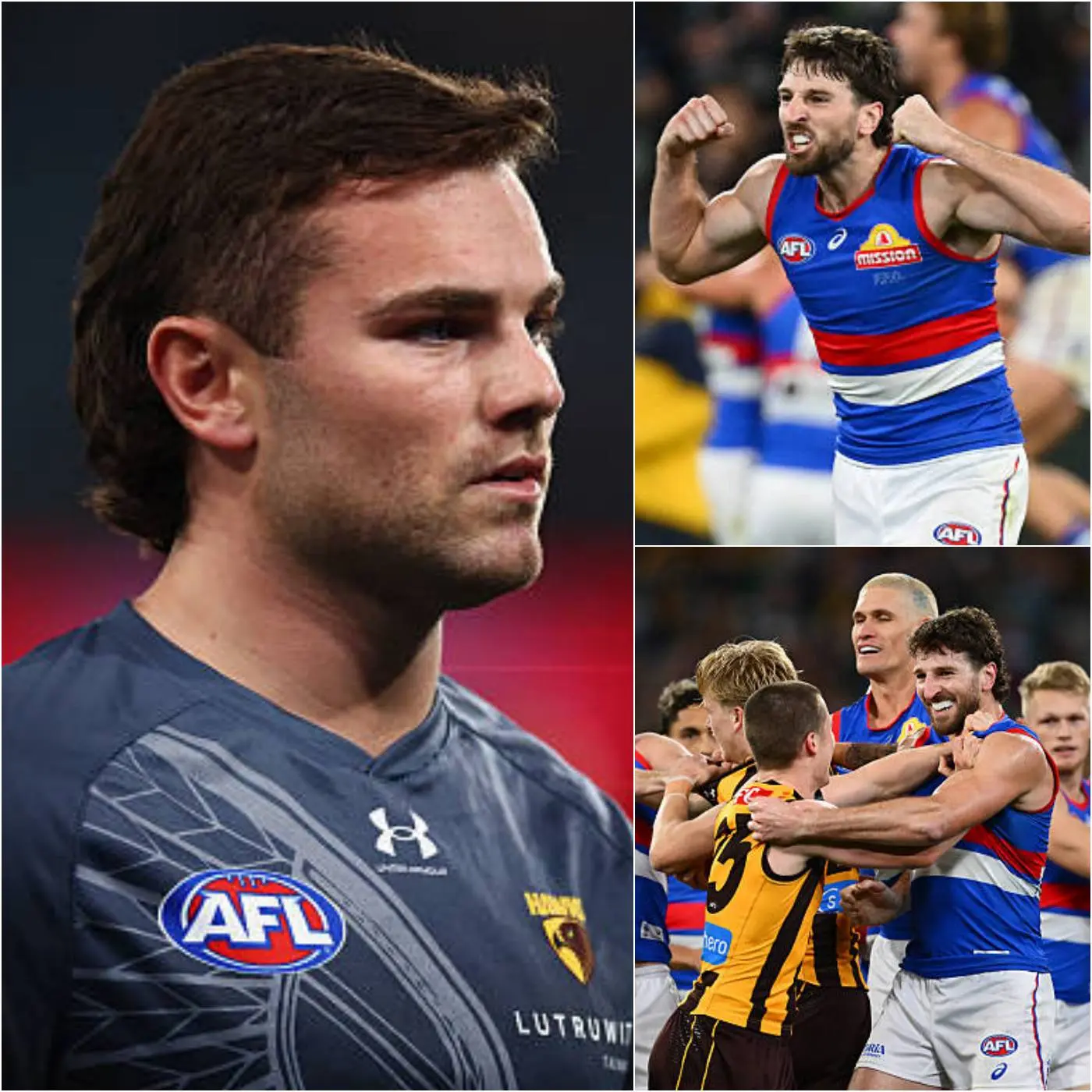 Cover Image for “IF THE AFL WANTS THE WESTERN BULLDOGS TO WALK AWAY WITH VICTORY, THEY MIGHT AS WELL PRESENT THEM THE PREMIERSHIP CUP NOW AND LET US PLAY NOTHING BUT SHAM MATCHES!”