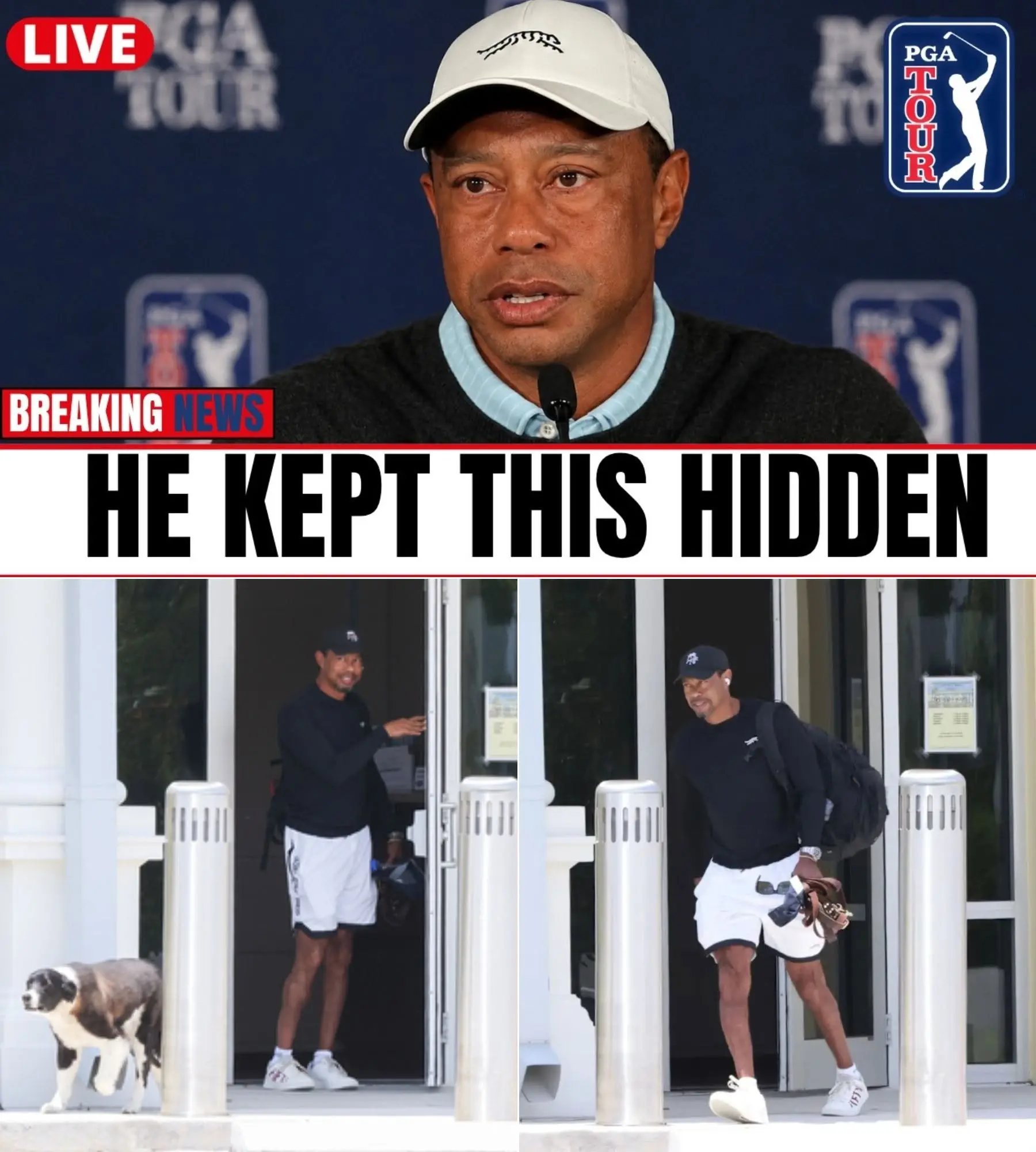 Cover Image for EXPLOSIVE NEWS🚨TIGER WOODS RETURNS TO AMERICA — AND HIS REVELATIONS SHOCK THE GOLF WORLD