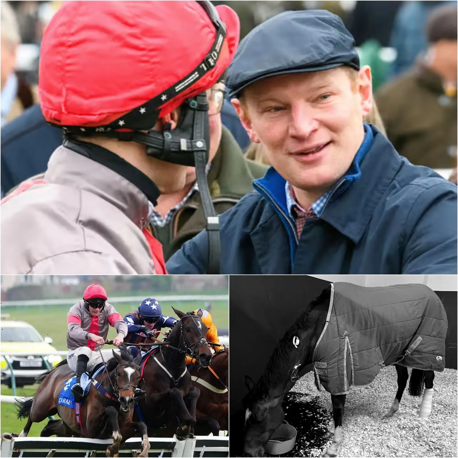 Cover Image for ‘We are all heartbroken,’ said trainer Ewan Whillans, adding that the entire stable was devastated by the death of the horse that participated in the Cheltenham Festival, much to the shock of thousands of spectators in the stands.