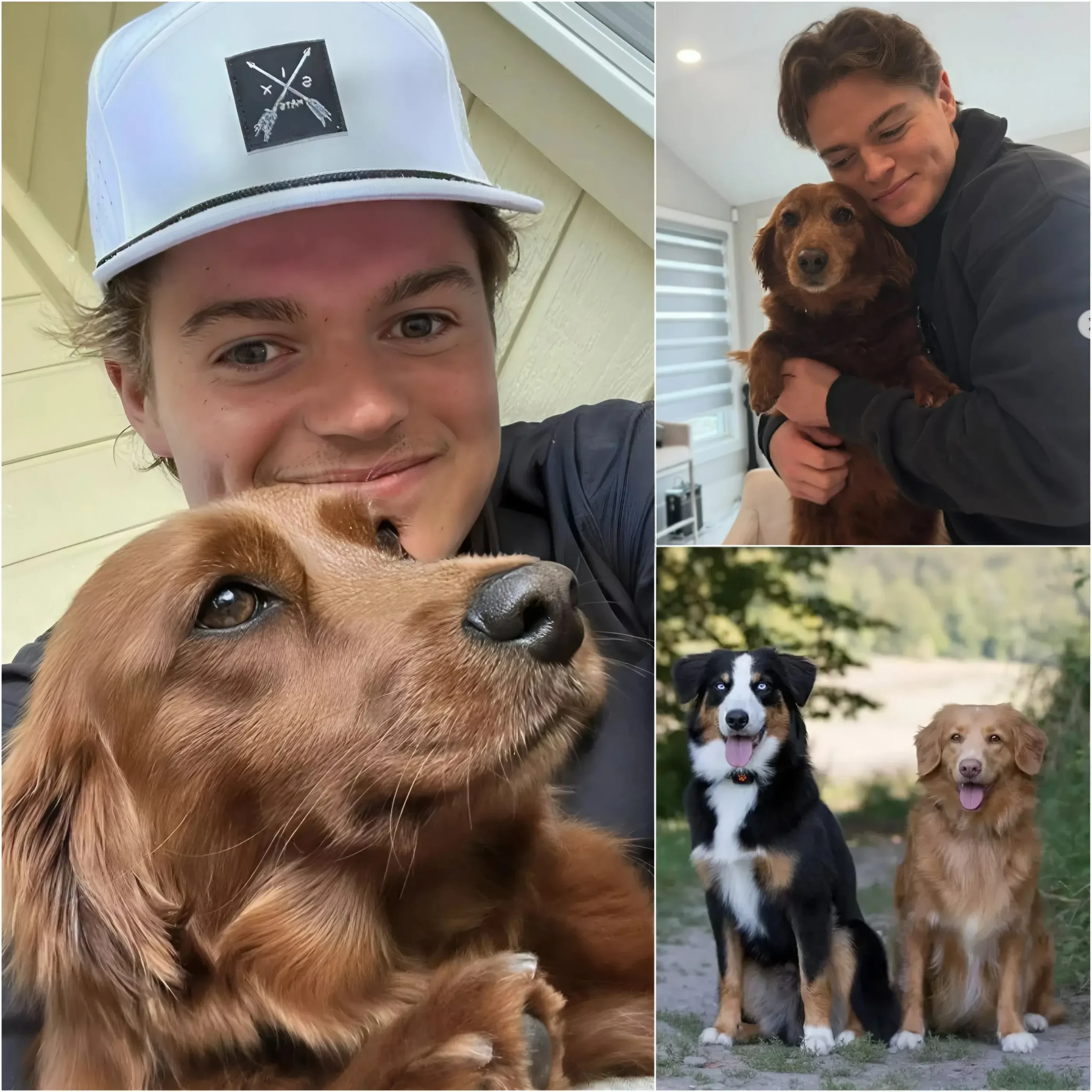 Cover Image for ❤️ UN GESTE MAGNIFIQUE : Cole Caufield s’est discrètement rendu dans un refuge pour animaux de sa ville natale, 48 heures seulement avant sa fermeture définitive, menaçant ainsi 27 animaux d’euthanasie.
